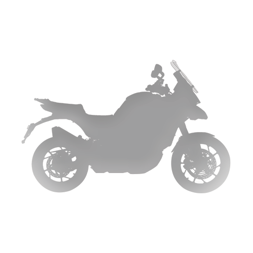 DUCATI