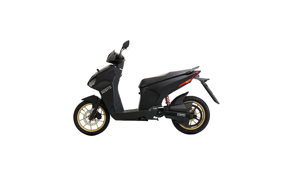 GESITS G1 2021