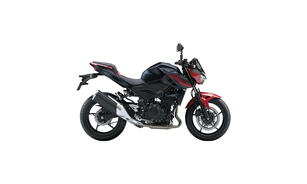 KAWASAKI Z250 (18)